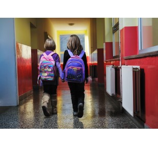 Explorer Sponsorship